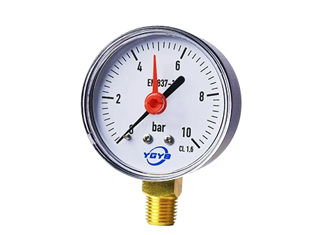 Bourdon Gauge