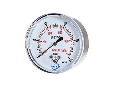 Low Pressure Capsule Gauge (Back Connection)