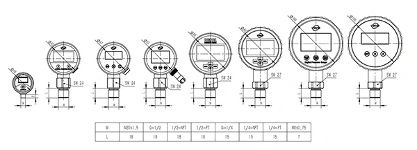 Digital Pressure Gauges