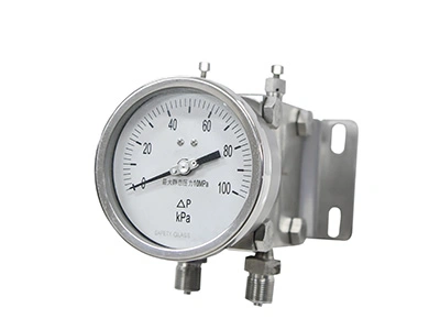 261B Double Diaphragm Differential Pressure Gauge