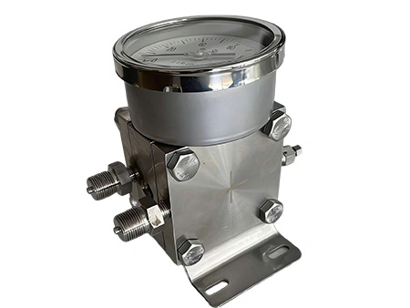 261B Double Diaphragm Differential Pressure Gauge