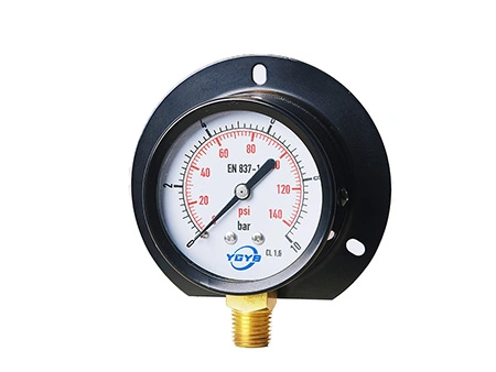 General-Purpose Pressure Gauge
