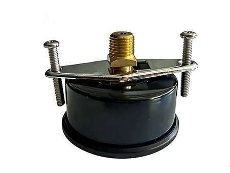 General-Purpose Pressure Gauge