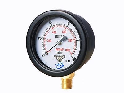 Low Pressure Capsule Gauge