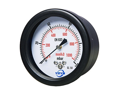 Low Pressure Capsule Gauge (Back Connection)