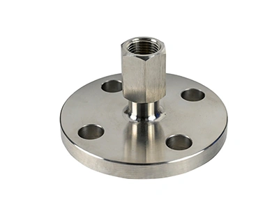 Flange-Type Diaphragm Seal