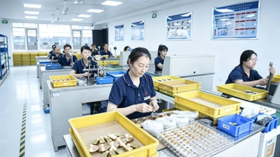 Capsule pressure gauge workshop